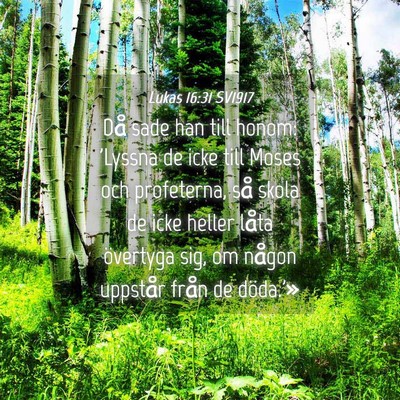 Picture 04 - Lukas 16:31 SV1917 - Då sade han till honom: 'Lyssna de icke till - Bible Verse Picture