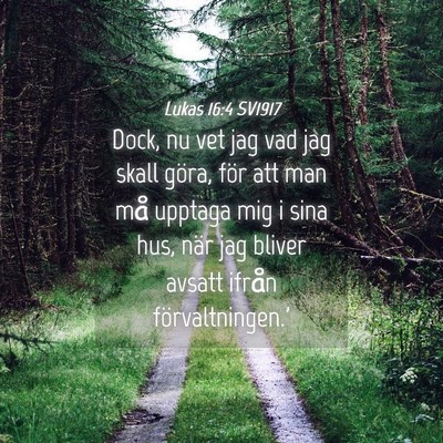 Picture 04 - Lukas 16:4 SV1917 - Dock, nu vet jag vad jag skall göra, för att - Bible Verse Picture