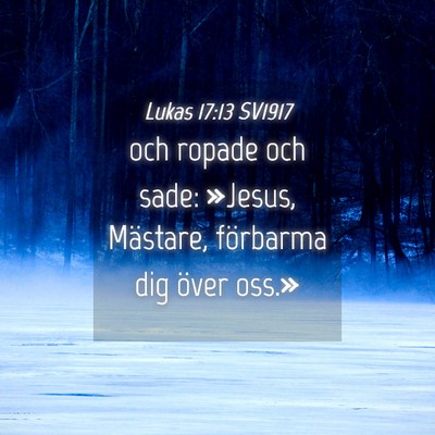 Picture 04 - Lukas 17:13 SV1917 - och ropade och sade: »Jesus, Mästare, förbarma - Bible Verse Picture
