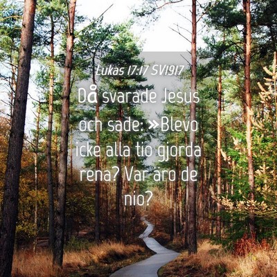 Picture 04 - Lukas 17:17 SV1917 - Då svarade Jesus och sade: »Blevo icke alla tio - Bible Verse Picture
