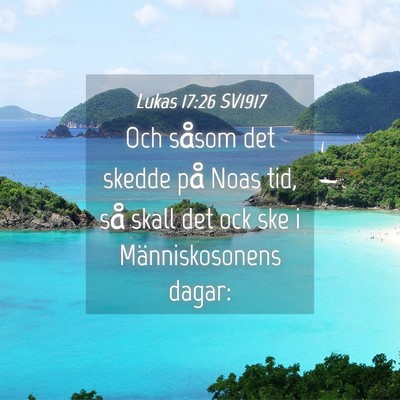 Picture 04 - Lukas 17:26 SV1917 - Och såsom det skedde på Noas tid, så skall det - Bible Verse Picture