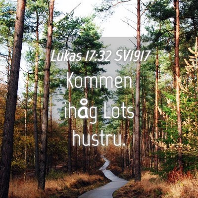 Picture 04 - Lukas 17:32 SV1917 - Kommen ihåg Lots - Bible Verse Picture