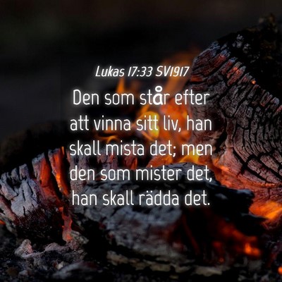 Picture 04 - Lukas 17:33 SV1917 - Den som står efter att vinna sitt liv, han skall - Bible Verse Picture
