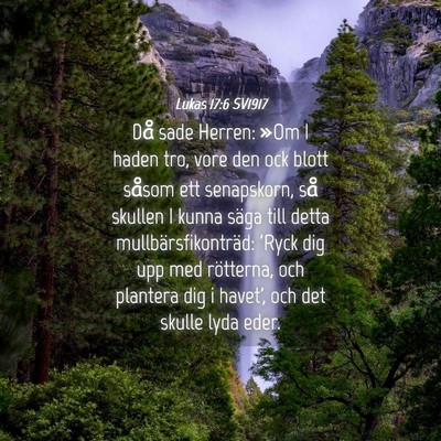 Picture 04 - Lukas 17:6 SV1917 - Då sade Herren: »Om I haden tro, vore den ock - Bible Verse Picture
