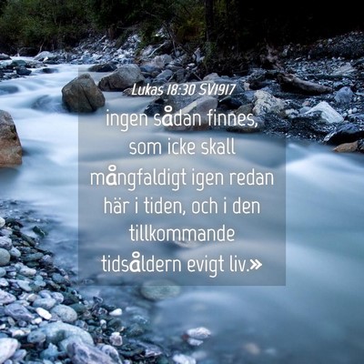 Picture 04 - Lukas 18:30 SV1917 - ingen sådan finnes, som icke skall mångfaldigt - Bible Verse Picture