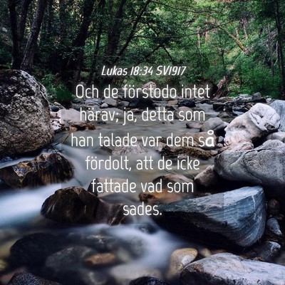 Picture 04 - Lukas 18:34 SV1917 - Och de förstodo intet härav; ja, detta som han - Bible Verse Picture