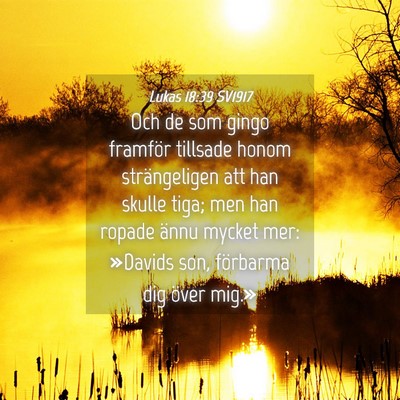 Picture 04 - Lukas 18:39 SV1917 - Och de som gingo framför tillsade honom - Bible Verse Picture