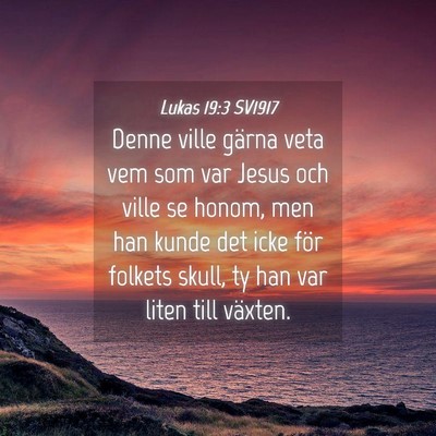Picture 04 - Lukas 19:3 SV1917 - Denne ville gärna veta vem som var Jesus och - Bible Verse Picture
