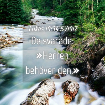 Picture 04 - Lukas 19:34 SV1917 - De svarade: »Herren behöver - Bible Verse Picture