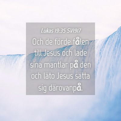 Picture 04 - Lukas 19:35 SV1917 - Och de förde fålen till Jesus och lade sina - Bible Verse Picture