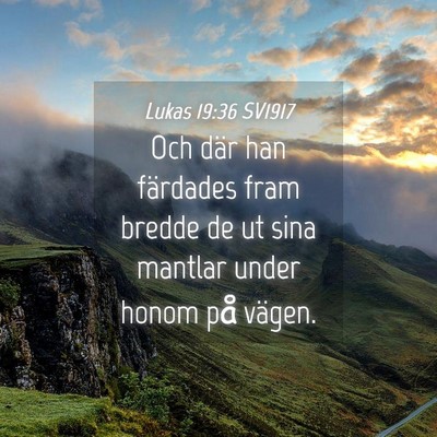 Picture 04 - Lukas 19:36 SV1917 - Och där han färdades fram bredde de ut sina - Bible Verse Picture
