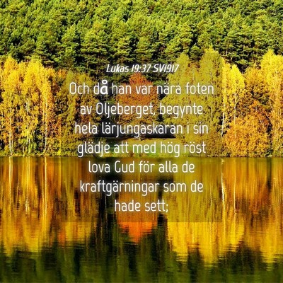 Picture 04 - Lukas 19:37 SV1917 - Och då han var nära foten av Oljeberget, - Bible Verse Picture