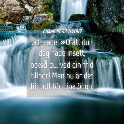 Picture 04 - Lukas 19:42 SV1917 - och sade: »O att du i dag hade insett, också - Bible Verse Picture