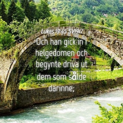 Picture 04 - Lukas 19:45 SV1917 - Och han gick in i helgedomen och begynte driva ut - Bible Verse Picture