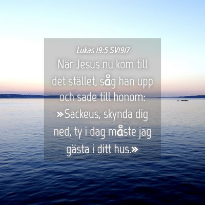 Picture 04 - Lukas 19:5 SV1917 - När Jesus nu kom till det stället, såg han upp - Bible Verse Picture