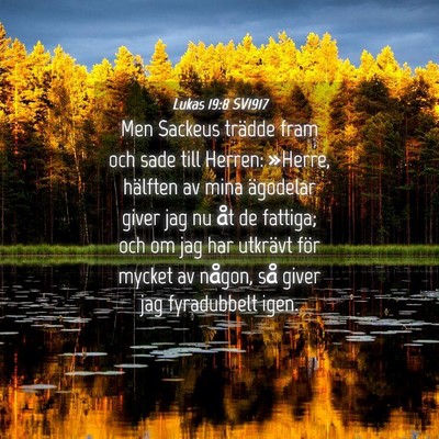 Picture 04 - Lukas 19:8 SV1917 - Men Sackeus trädde fram och sade till Herren: - Bible Verse Picture