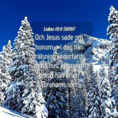 Picture 04 - Lukas 19:9 SV1917 - Och Jesus sade om honom: »I dag har frälsning - Bible Verse Picture
