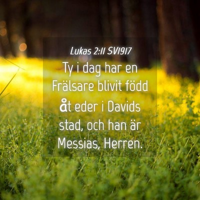 Picture 04 - Lukas 2:11 SV1917 - Ty i dag har en Frälsare blivit född åt eder i - Bible Verse Picture