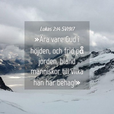 Picture 04 - Lukas 2:14 SV1917 - »Ära vare Gud i höjden, och frid på jorden, - Bible Verse Picture
