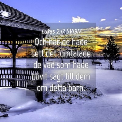 Picture 04 - Lukas 2:17 SV1917 - Och när de hade sett det, omtalade de vad som - Bible Verse Picture