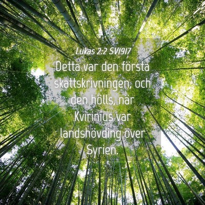 Picture 04 - Lukas 2:2 SV1917 - Detta var den första skattskrivningen, och den - Bible Verse Picture