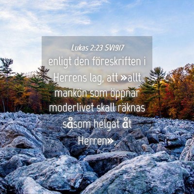 Picture 04 - Lukas 2:23 SV1917 - enligt den föreskriften i Herrens lag, att - Bible Verse Picture