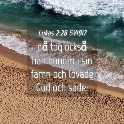 Picture 04 - Lukas 2:28 SV1917 - då tog också han honom i sin famn och lovade - Bible Verse Picture