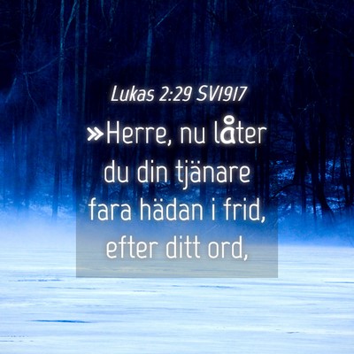 Picture 04 - Lukas 2:29 SV1917 - »Herre, nu låter du din tjänare fara hädan i - Bible Verse Picture