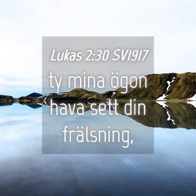 Picture 04 - Lukas 2:30 SV1917 - ty mina ögon hava sett din - Bible Verse Picture