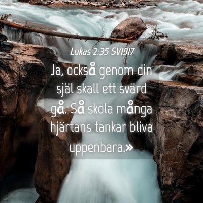 Picture 04 - Lukas 2:35 SV1917 - Ja, också genom din själ skall ett svärd gå. - Bible Verse Picture