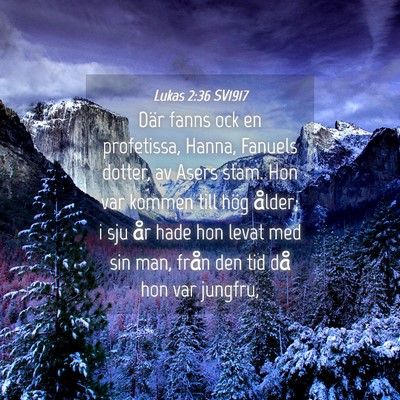 Picture 04 - Lukas 2:36 SV1917 - Där fanns ock en profetissa, Hanna, Fanuels - Bible Verse Picture