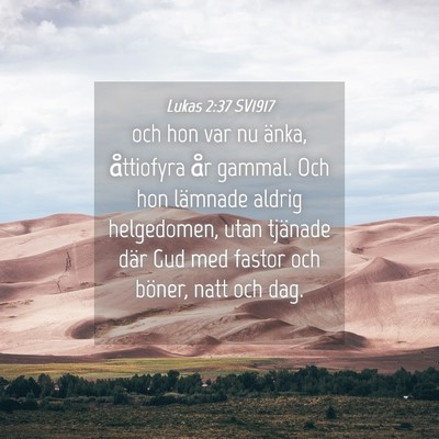 Picture 04 - Lukas 2:37 SV1917 - och hon var nu änka, åttiofyra år gammal. Och - Bible Verse Picture