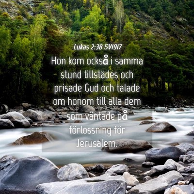 Picture 04 - Lukas 2:38 SV1917 - Hon kom också i samma stund tillstädes och - Bible Verse Picture