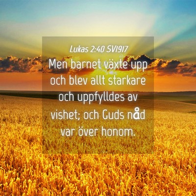 Picture 04 - Lukas 2:40 SV1917 - Men barnet växte upp och blev allt starkare och - Bible Verse Picture