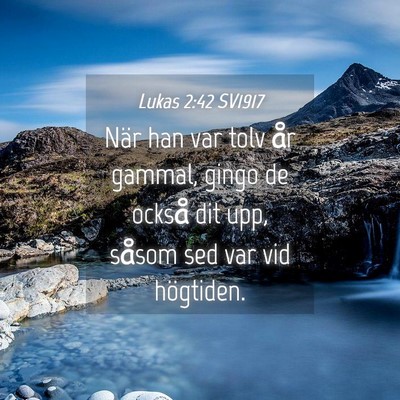 Picture 04 - Lukas 2:42 SV1917 - När han var tolv år gammal, gingo de också dit - Bible Verse Picture