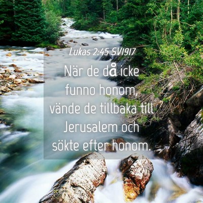 Picture 04 - Lukas 2:45 SV1917 - När de då icke funno honom, vände de tillbaka - Bible Verse Picture