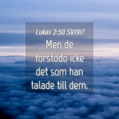 Picture 04 - Lukas 2:50 SV1917 - Men de förstodo icke det som han talade till - Bible Verse Picture
