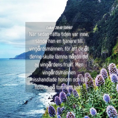 Picture 04 - Lukas 20:10 SV1917 - När sedan rätta tiden var inne, sände han en - Bible Verse Picture
