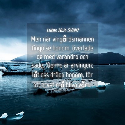 Picture 04 - Lukas 20:14 SV1917 - Men när vingårdsmannen fingo se honom, - Bible Verse Picture