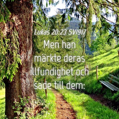 Picture 04 - Lukas 20:23 SV1917 - Men han märkte deras illfundighet och sade till - Bible Verse Picture