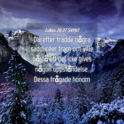 Picture 04 - Lukas 20:27 SV1917 - Därefter trädde några sadducéer fram och - Bible Verse Picture