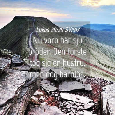 Picture 04 - Lukas 20:29 SV1917 - Nu voro här sju bröder. Den förste tog sig en - Bible Verse Picture