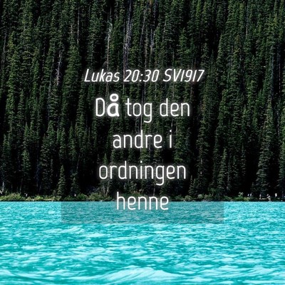 Picture 04 - Lukas 20:30 SV1917 - Då tog den andre i ordningen - Bible Verse Picture