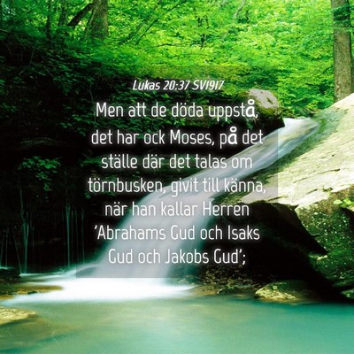 Picture 04 - Lukas 20:37 SV1917 - Men att de döda uppstå, det har ock Moses, på - Bible Verse Picture