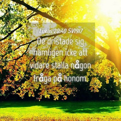 Picture 04 - Lukas 20:40 SV1917 - De dristade sig nämligen icke att vidare ställa - Bible Verse Picture