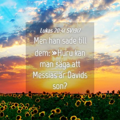 Picture 04 - Lukas 20:41 SV1917 - Men han sade till dem: »Huru kan man säga att - Bible Verse Picture