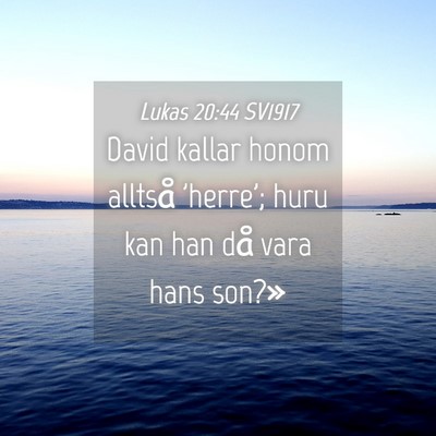 Picture 04 - Lukas 20:44 SV1917 - David kallar honom alltså 'herre'; huru kan han - Bible Verse Picture