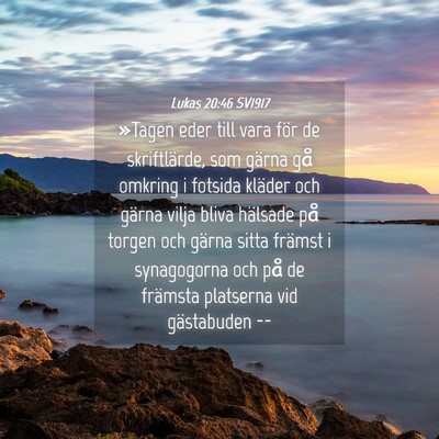 Picture 04 - Lukas 20:46 SV1917 - »Tagen eder till vara för de skriftlärde, som - Bible Verse Picture