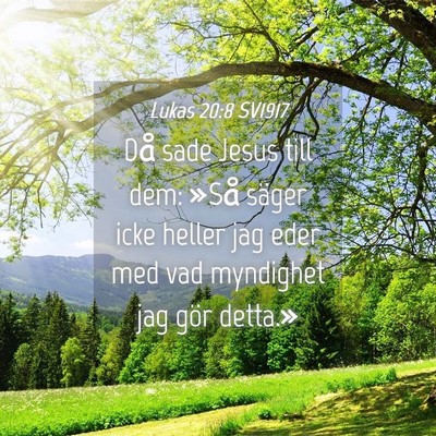 Picture 04 - Lukas 20:8 SV1917 - Då sade Jesus till dem: »Så säger icke heller - Bible Verse Picture