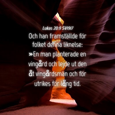 Picture 04 - Lukas 20:9 SV1917 - Och han framställde för folket denna liknelse: - Bible Verse Picture